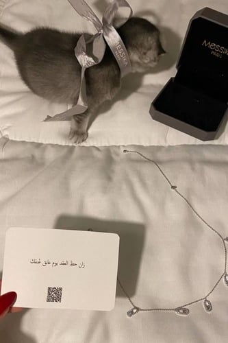 سلسال ميسيكا