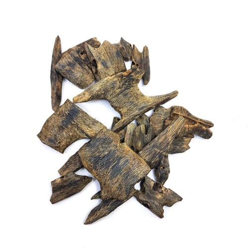 عود صيني كينام تربل طبيعي مستزرع