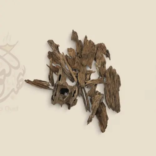 عود مروكي حي سوبر مرتفع ودبل طبيعي غابات