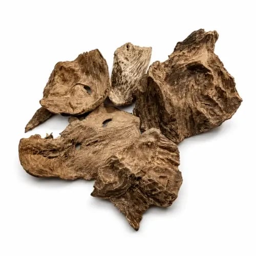 عود سيلاني طبيعي غابات درجة دبل سوبر مرتفع غني بال...