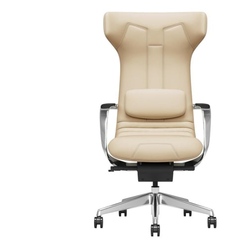 كرسي مكتب اداري صحي جلد بتصميم إيطالي