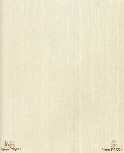 بديل الشيبورد 5 مل P5651