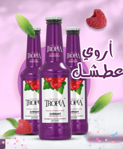 تروبيا مشروب غازي بنكهة كشمش احمر 250 مل