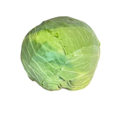 ملفوف ابيض