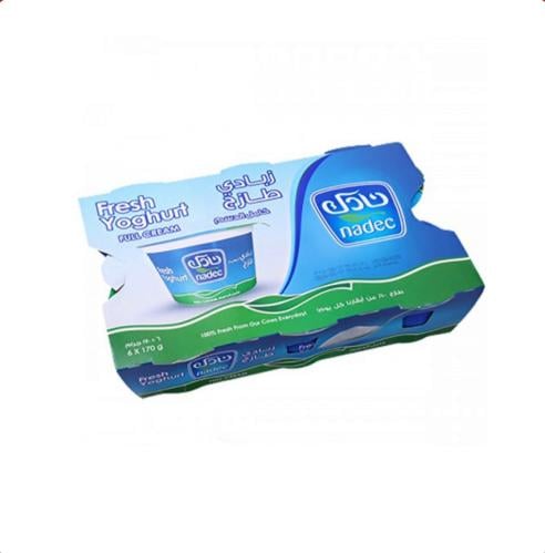 زبادي نادك 170 جرام كامل ربطة 6 حبات