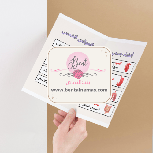 مطوية لغتي أعضاء جسمي - أولى