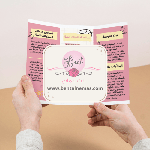 مطوية العلوم تصنيف المخلوقات الحية - رابع