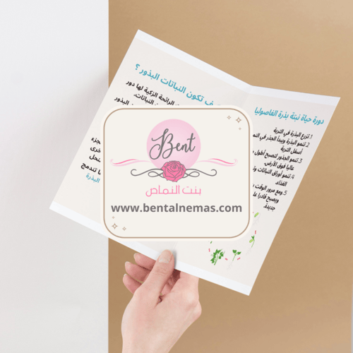 مطوية العلوم دورات حياة النباتات - ثالث