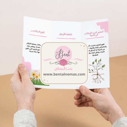 مطوية العلوم عمليات الحياة في النباتات - سادس