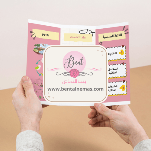 مطوية العلوم السلاسل والشبكات الغذائية - ثالث