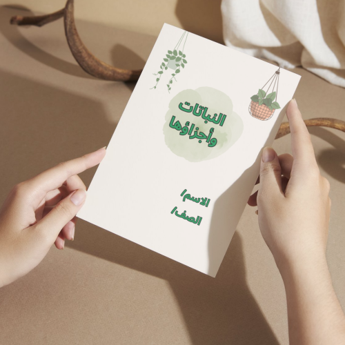 مطوية العلوم النباتات وأجزاؤها - ثالث