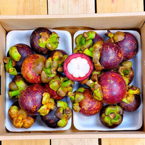 كرتون مانغوستين