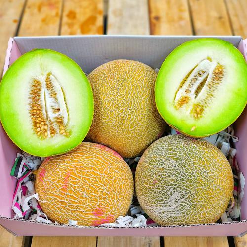 شمام كوز العسل
