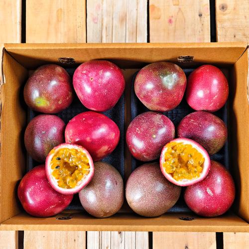 كرتون باشن فروت