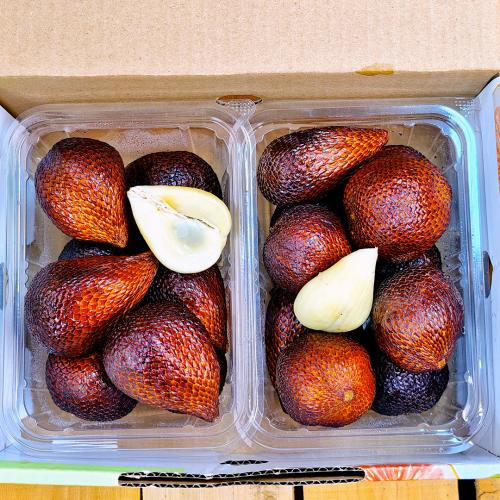 فاكهة الثعبان (سالاك)