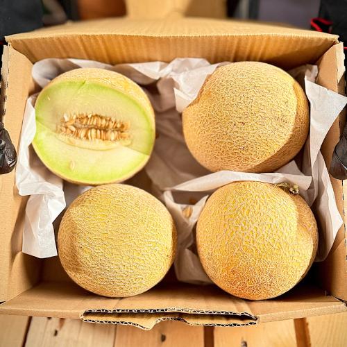 شمام كوز العسل