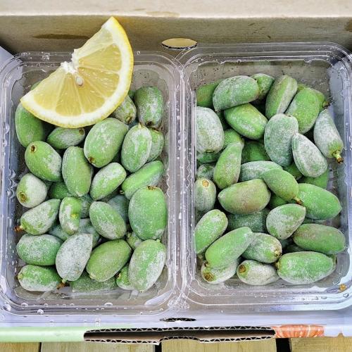 لوز اخضر
