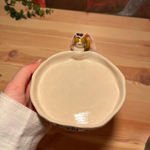 صحن المياو السعودي