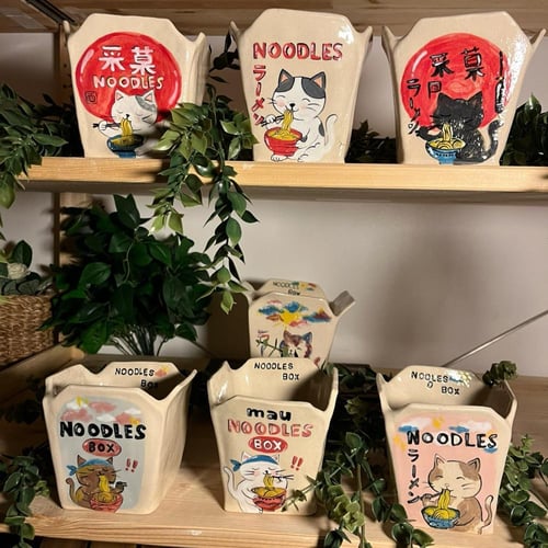 وعاء بوكس النودلز #3