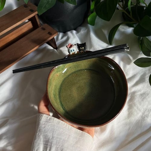 وعاء النودلز القطه لولو وصديقها