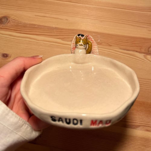 صحن المياو السعودي