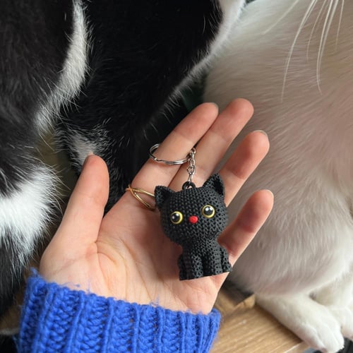 ميدالية BlackCat