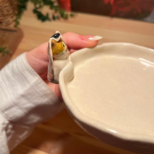 صحن المياو السعودي