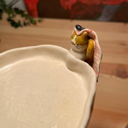 صحن المياو السعودي