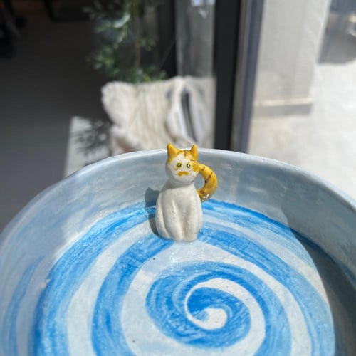 وعاء المياو سمير