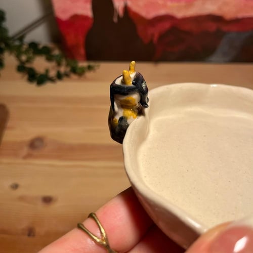 صحن المياو السعودية