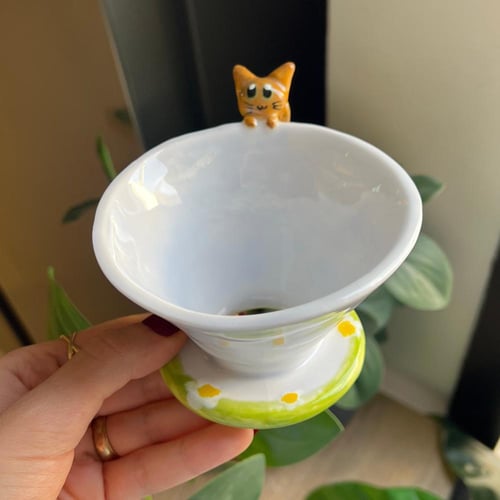 قمع V60 حديقة القط ليو