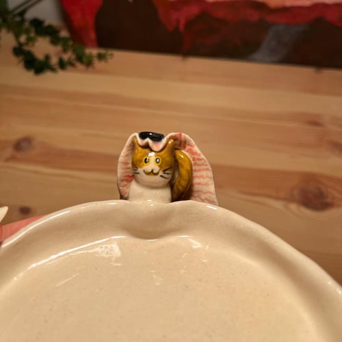 صحن المياو السعودي