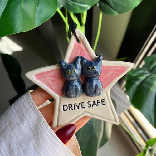 تعليقة سيارة قطط شهر اكتوبر