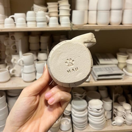 كوب القط الحكيم