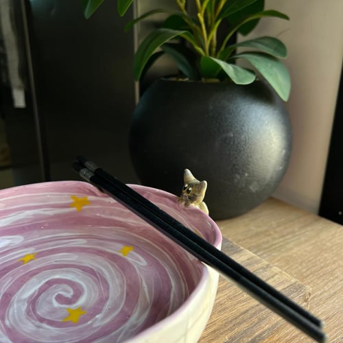 وعاء النودلز القطه الحكيم