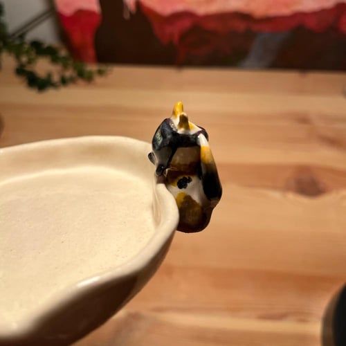 صحن المياو السعودية