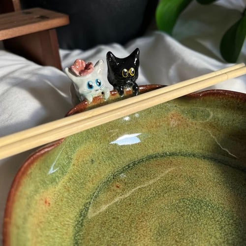 وعاء النودلز القطه لولو وصديقها