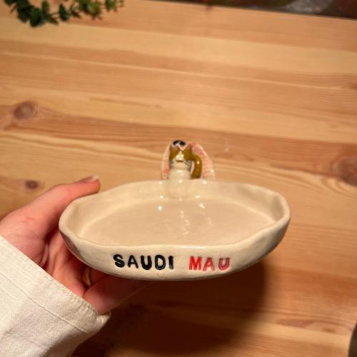 صحن المياو السعودي