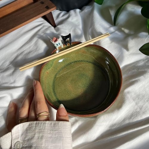 وعاء النودلز القطه لولو وصديقها