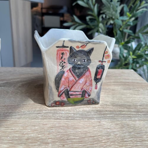 وعاء بوكس النودلز القطه اليابانيه