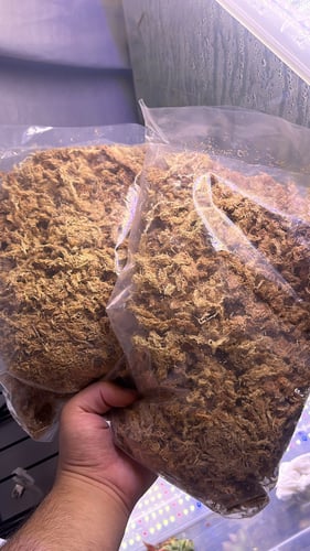 Dry Sphagnum Moss - سباقنوم موس