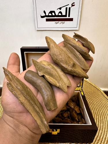 مروكي اصقون سوبر نكة مميزة