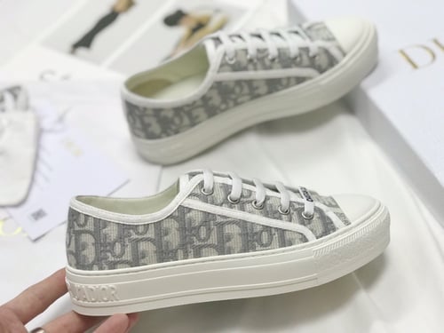 Dior low Top Sneakers Walkn