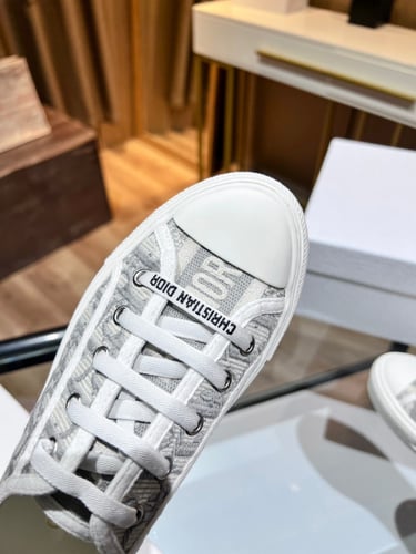 Dior low Top Sneakers Walkn