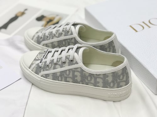 Dior low Top Sneakers Walkn