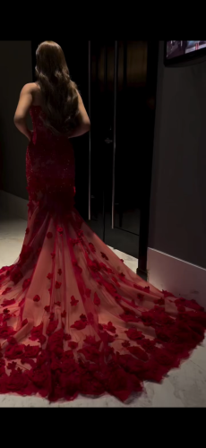 Rose Fire Dress