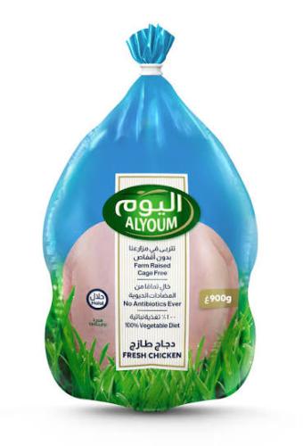 دجاج اليوم مبرد 900ج