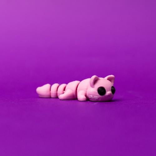 ميدالية قطة