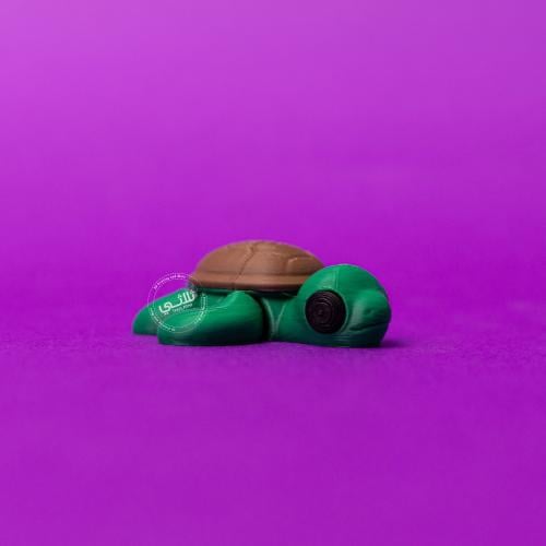 ميدالية سلحفاة