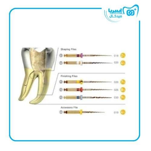 Perfect-Protaper Gold Rotary File 31 mm